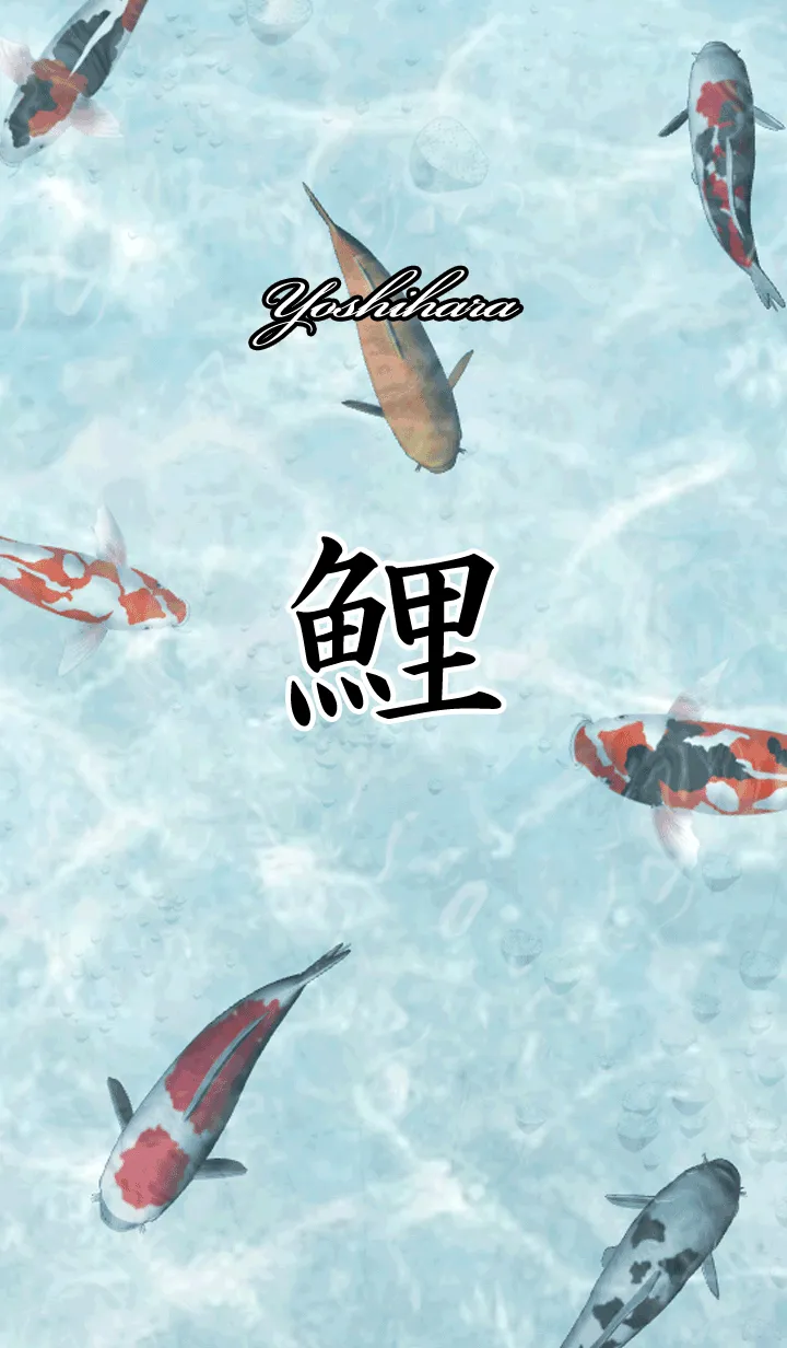 [LINE着せ替え] よしはら用和風鯉の画像1