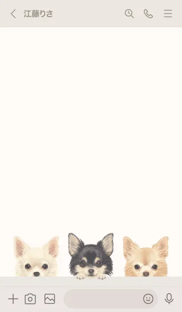 [LINE着せ替え] ワンワン - チワワ L - ベージュの画像3