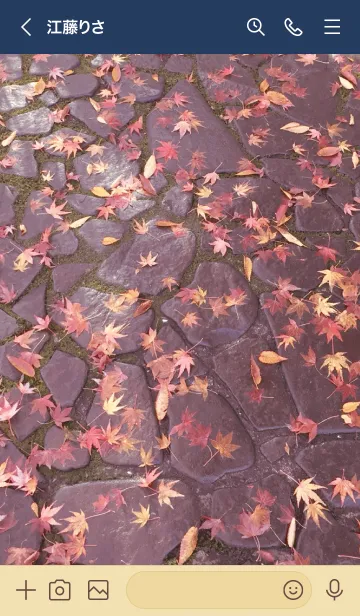 [LINE着せ替え] Autumn leaves Momiji 4の画像3