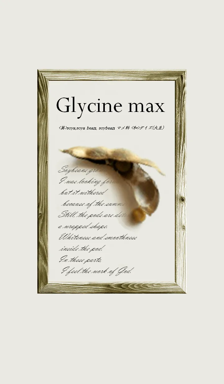 [LINE着せ替え] 大豆～学名：Glycine max～の画像1