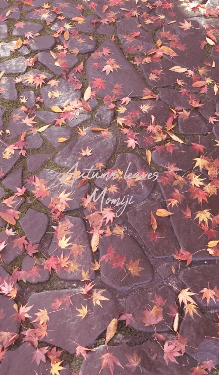 [LINE着せ替え] Autumn leaves Momiji 5の画像1