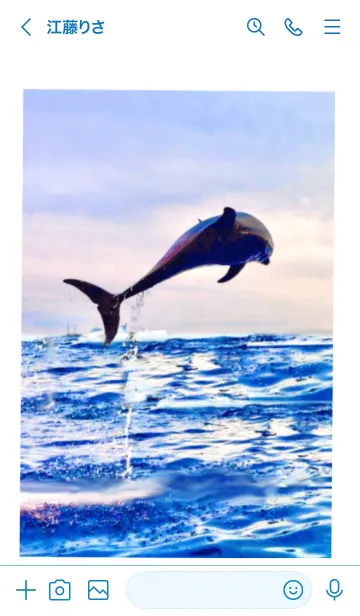 [LINE着せ替え] 幸運の海 イルカ 全体運上昇の画像3