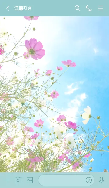 [LINE着せ替え] 秋風に舞うコスモスの花たちの画像3