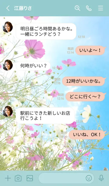 [LINE着せ替え] 秋風に舞うコスモスの花たちの画像4