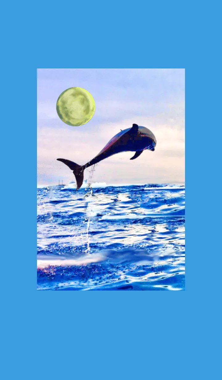 [LINE着せ替え] 幸運の満月 海 イルカ 全体運上昇の画像1