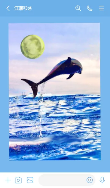 [LINE着せ替え] 幸運の満月 海 イルカ 全体運上昇の画像3