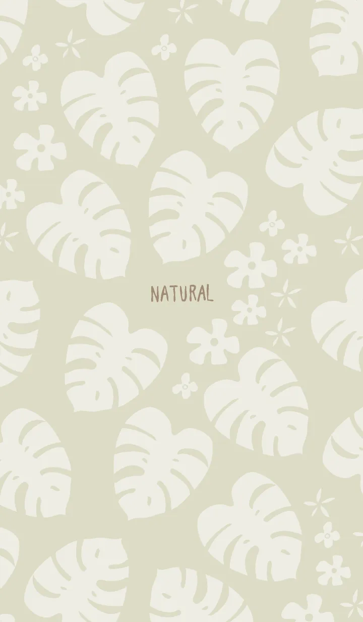 [LINE着せ替え] モンステラ 白 ランダム16の画像1