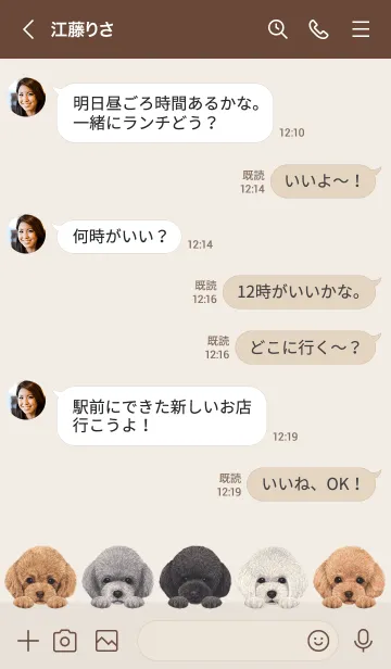 [LINE着せ替え] わんわんドッグ - トイプードル -の画像4