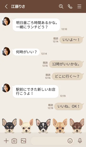 [LINE着せ替え] わんわんドッグ - スムースコート チワワ -の画像4