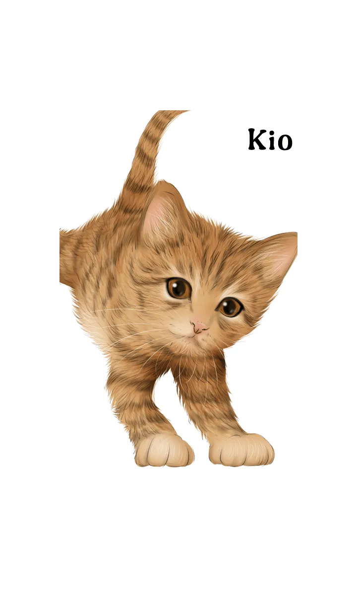 [LINE着せ替え] きお用可愛い虎猫子猫の画像1