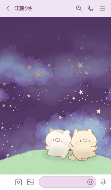 [LINE着せ替え] となりのにゃんこ 星空の画像3