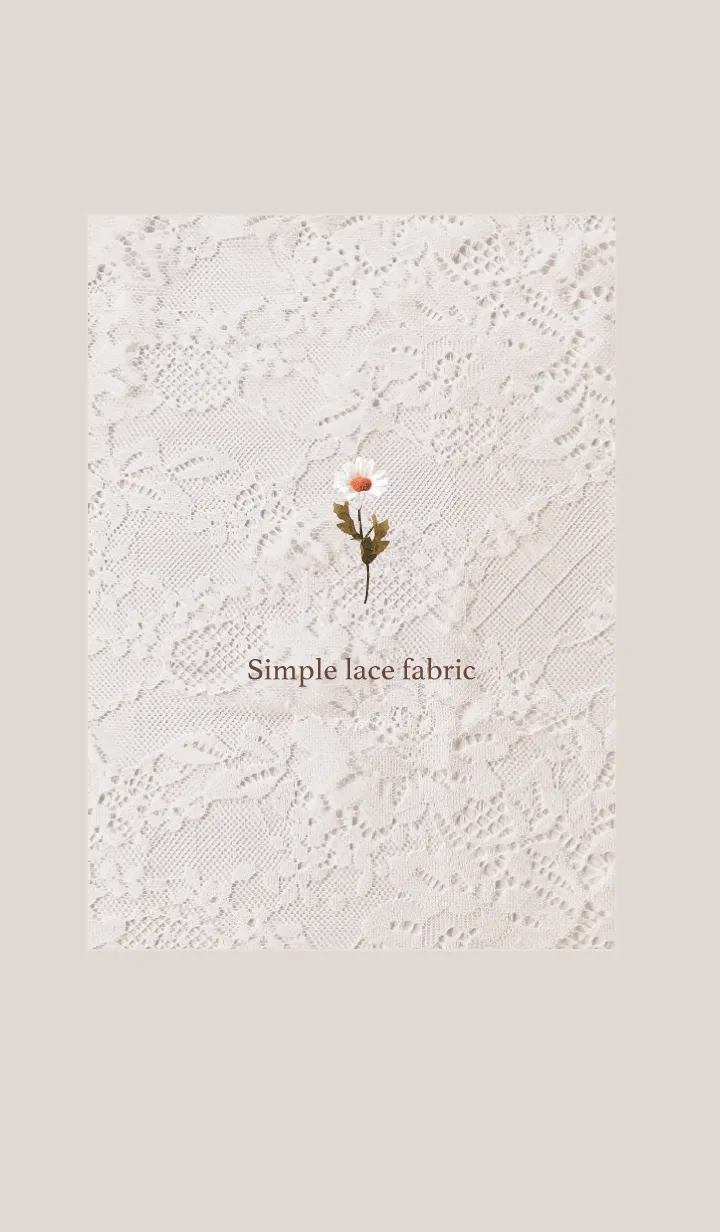 Simple lace fabric_01の着せ替えメイン画像