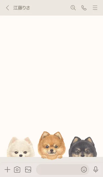 [LINE着せ替え] ワンワン - ポメラニアン - ベージュの画像3