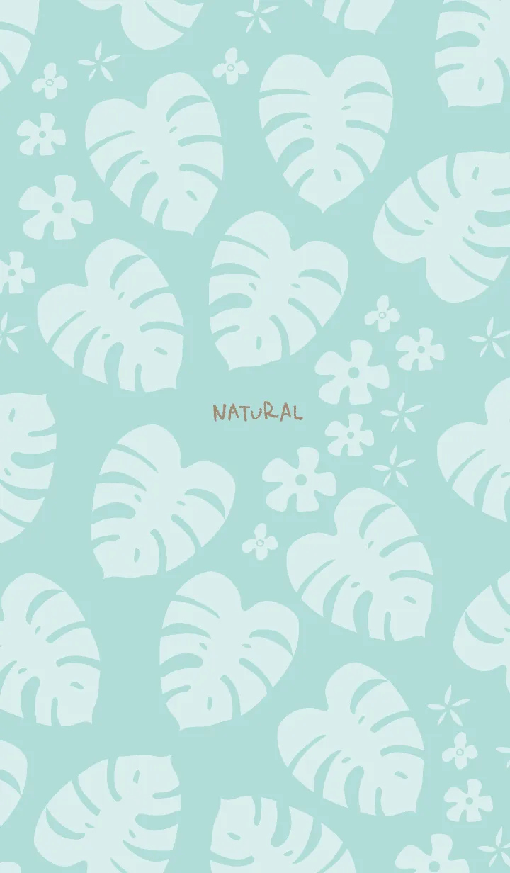 [LINE着せ替え] モンステラ 白 ランダム14の画像1