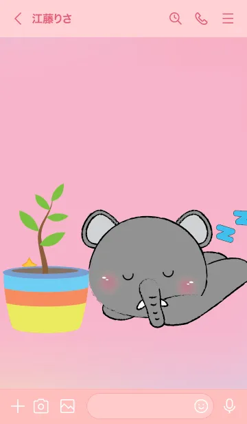 [LINE着せ替え] Elephant and cactus theme JPの画像3