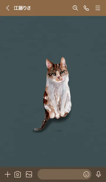 [LINE着せ替え] キジトラ猫日記の画像3