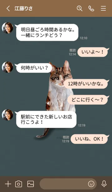 [LINE着せ替え] キジトラ猫日記の画像4