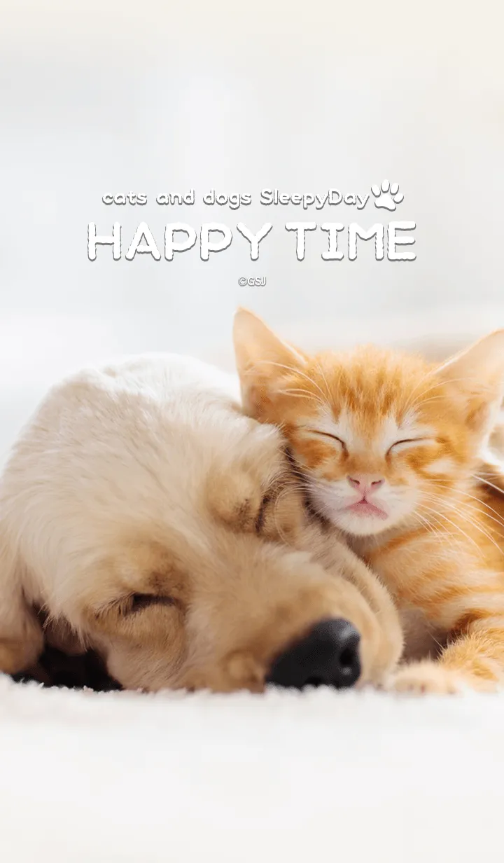 [LINE着せ替え] 癒し日和♥犬と猫のHAPPY TIMEの画像1