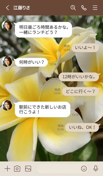 [LINE着せ替え] Plumeria..9の画像4