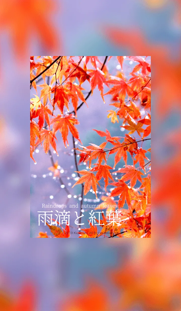 [LINE着せ替え] 雨滴と紅葉の画像1