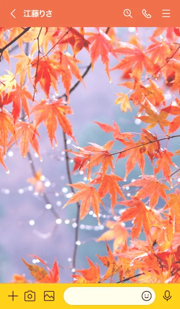 [LINE着せ替え] 雨滴と紅葉の画像3