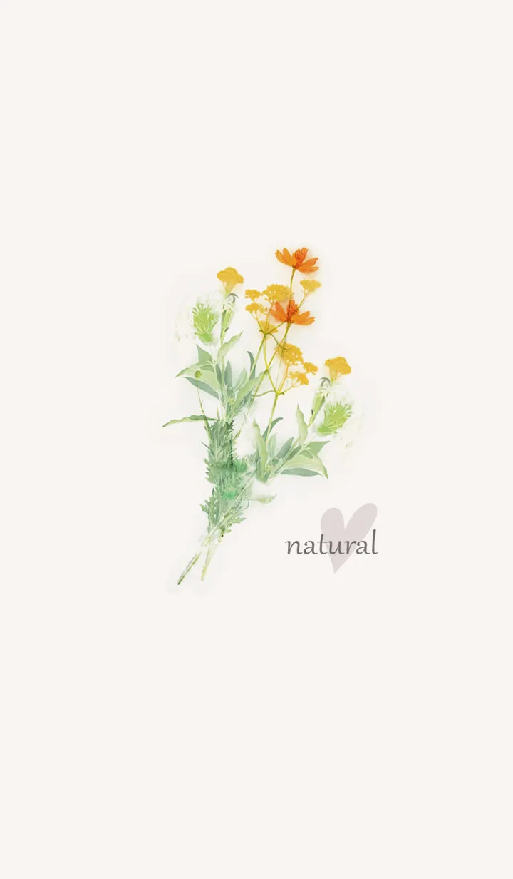 [LINE着せ替え] ナチュラルライフにコスモスを添えて・5の画像1