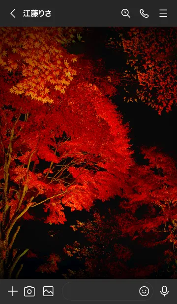 [LINE着せ替え] 幻想的な夜の紅葉の画像3