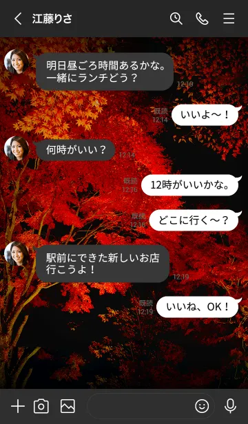 [LINE着せ替え] 幻想的な夜の紅葉の画像4