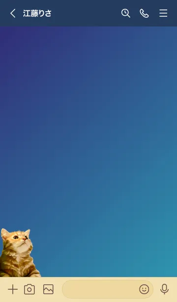 [LINE着せ替え] かわいいオレンジ色の猫の画像3