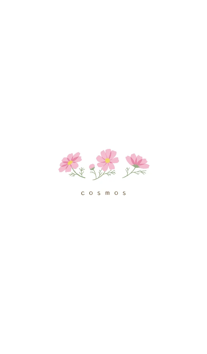 [LINE着せ替え] Simple flower/コスモス(白)の画像1