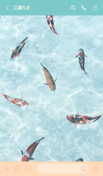 [LINE着せ替え] ぎんのすけ用和風鯉の画像3