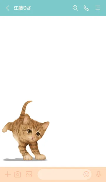 [LINE着せ替え] しゅういち用可愛い虎猫子猫の画像3