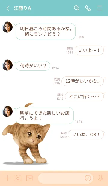 [LINE着せ替え] しゅういち用可愛い虎猫子猫の画像4