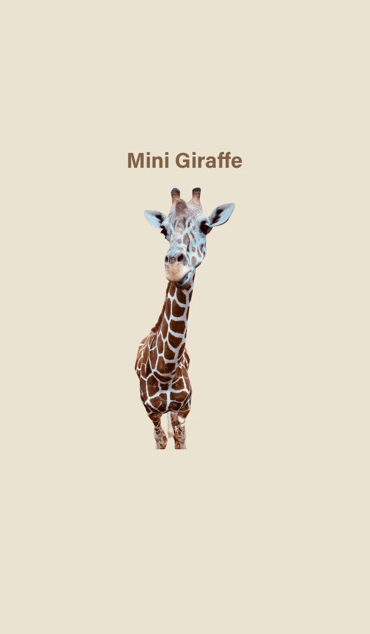 [LINE着せ替え] Mini Giraffe 4の画像1