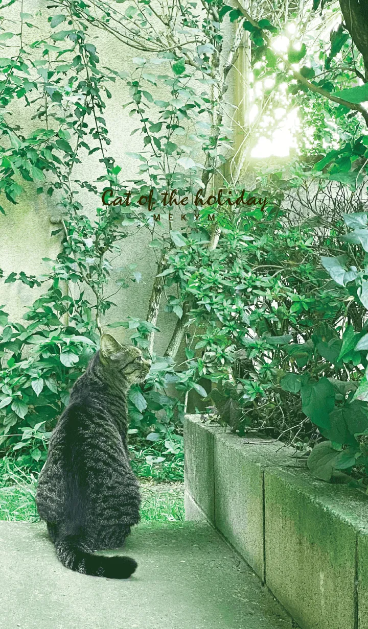 [LINE着せ替え] Cat of the holiday 19の画像1