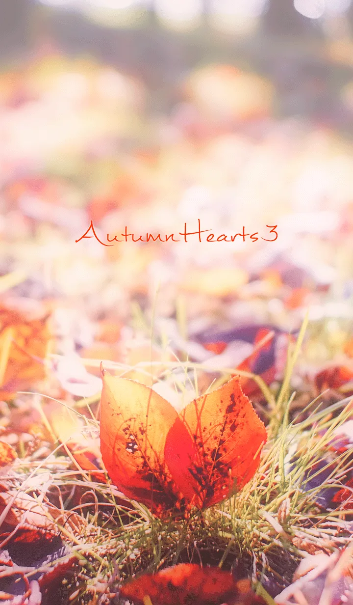 [LINE着せ替え] AutumnHearts 3の画像1