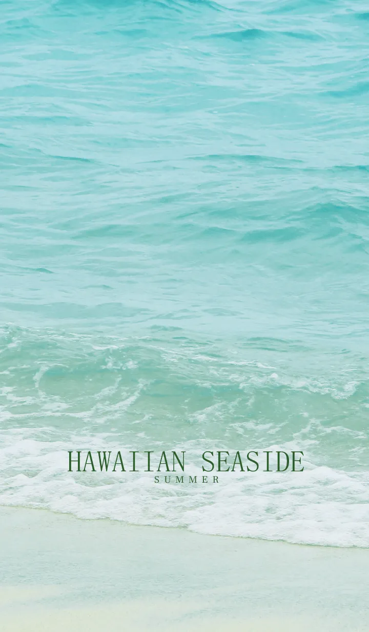 HAWAIIAN SEASIDE-MEKYM 30の着せ替えメイン画像