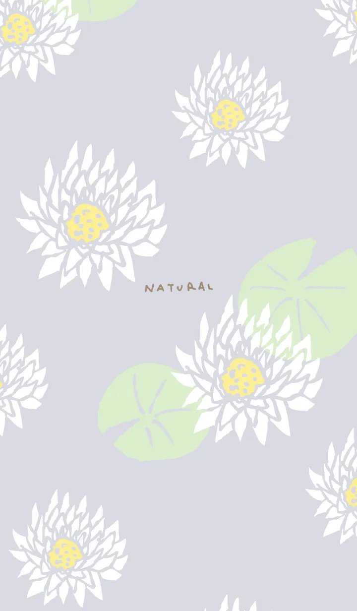 [LINE着せ替え] 白い蓮の花28の画像1