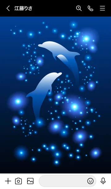 [LINE着せ替え] Blue light and dolphin...の画像3