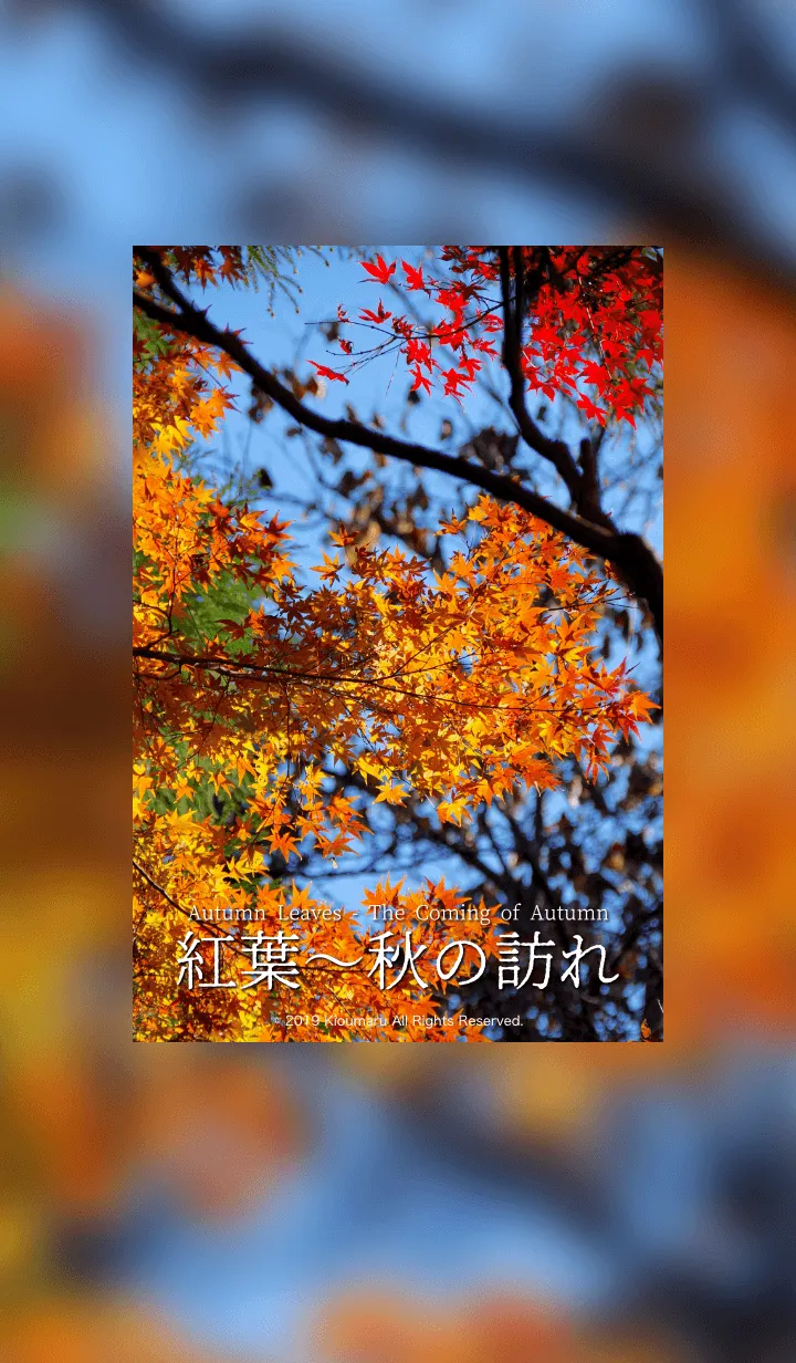 [LINE着せ替え] 紅葉〜秋の訪れ 1.1の画像1