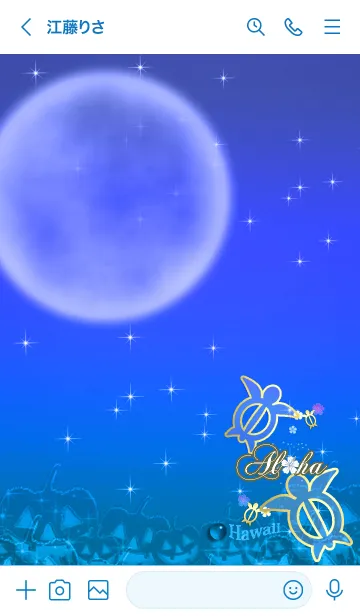 [LINE着せ替え] 幸運のホヌ*ハワイ＊ALOHA+270の画像3