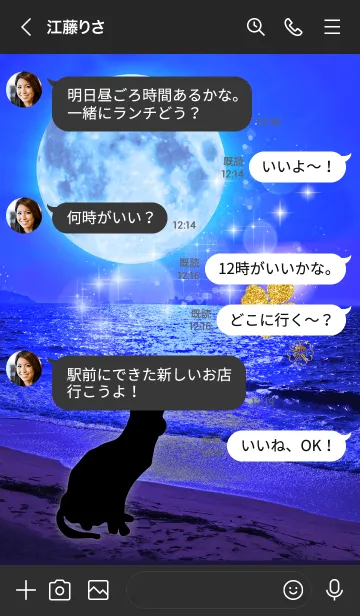 [LINE着せ替え] グングン全運気がアップする猫と満月の画像4