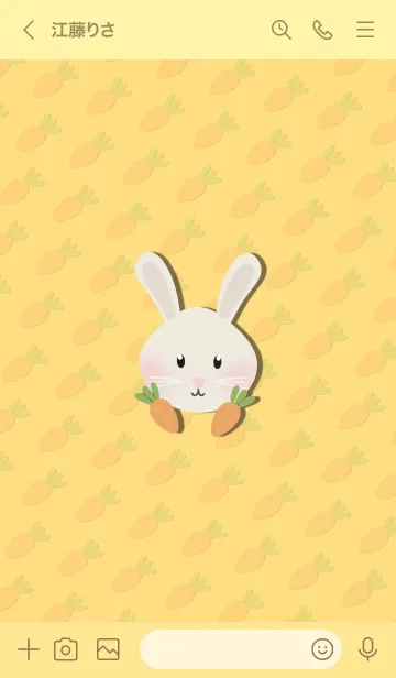 [LINE着せ替え] Rabbit - Cute Rabbitの画像3