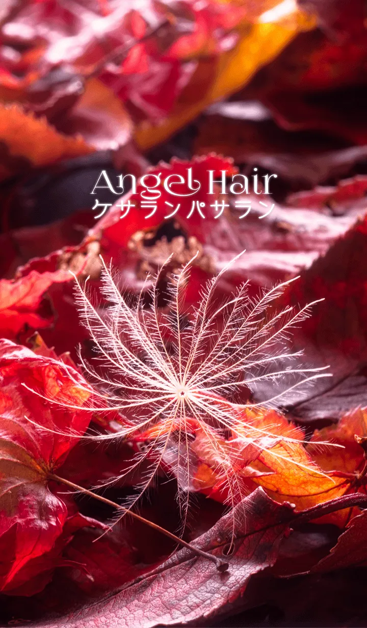 [LINE着せ替え] ケサランパサランの画像1