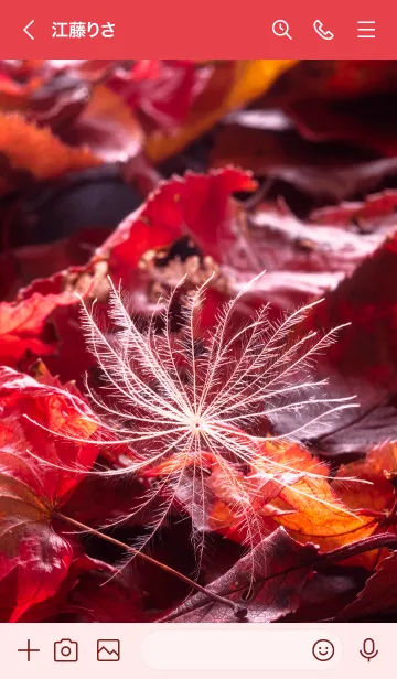 [LINE着せ替え] ケサランパサランの画像3