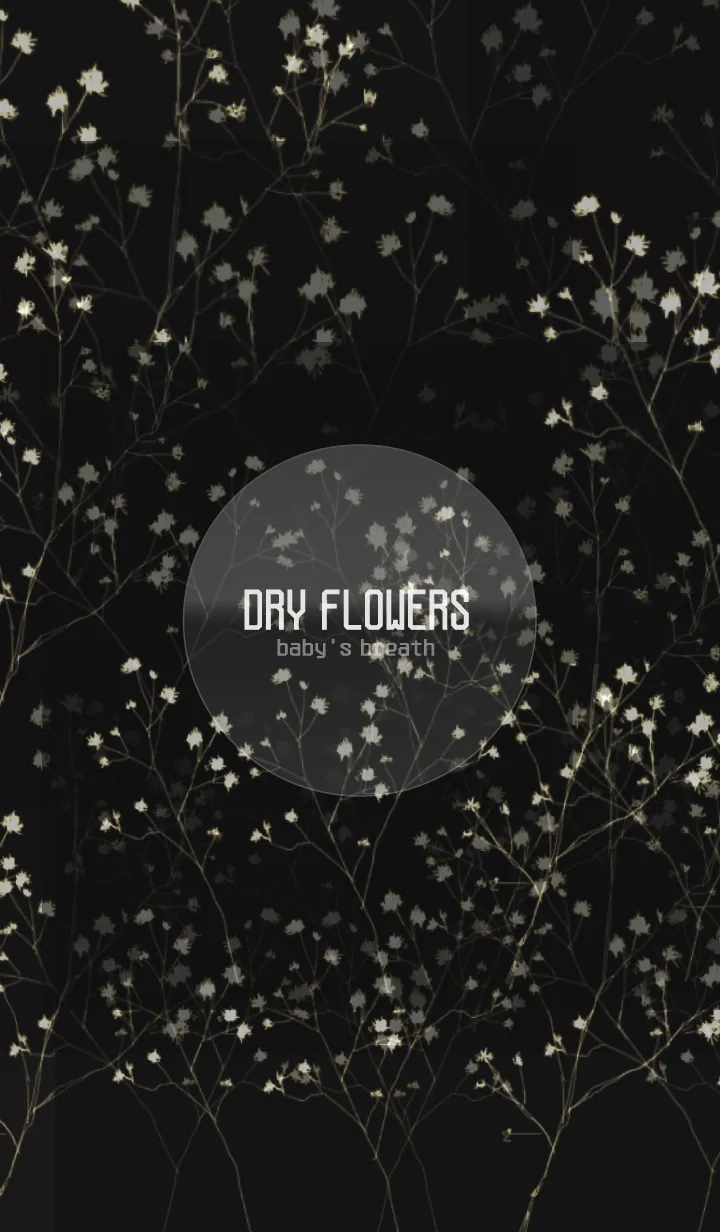 [LINE着せ替え] DryFlowers-baby's breath-の画像1