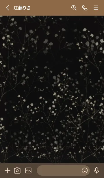 [LINE着せ替え] DryFlowers-baby's breath-の画像3