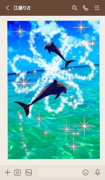 [LINE着せ替え] dolphin 幸運の四つ葉のクローバー 海の画像3