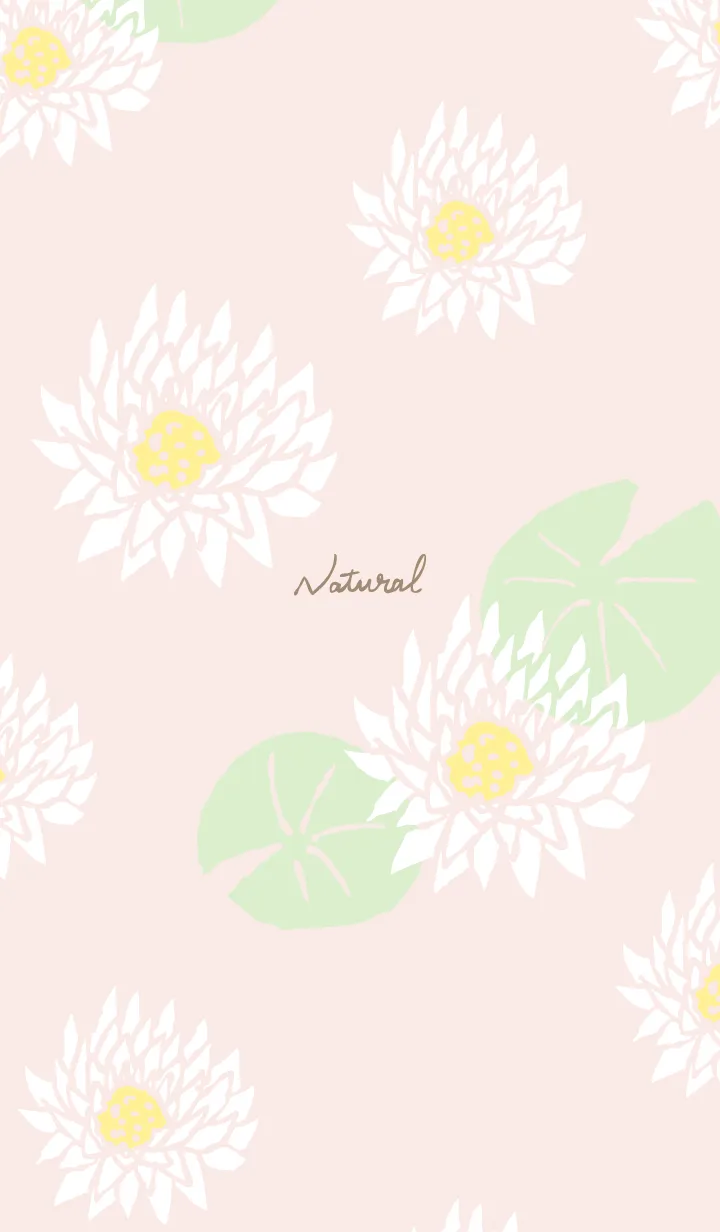 [LINE着せ替え] 白い蓮の花8の画像1