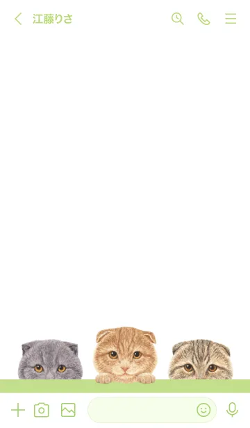 [LINE着せ替え] 猫 -スコティッシュフォールド- 白×黄緑色の画像3